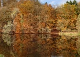Herbststimmung