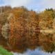 Herbststimmung