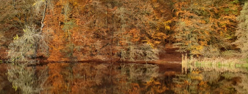 Herbststimmung